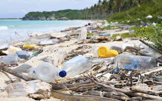 Global Plastics Treaty: 'Heartbreakingly bare' draft text slammed as talks enter final day