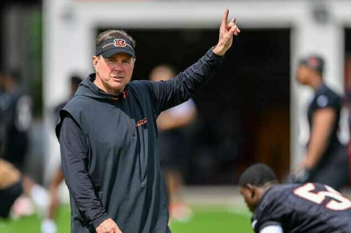 Bengals' New Coaches Take It To The Field: 'There's No Gray Area'