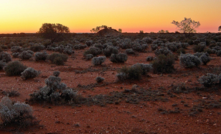  Cygnus is exploring in both Australia and Canada