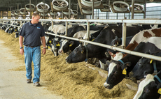 From Soil to cup: The US family partnership running one of Ohio's most transparent dairies