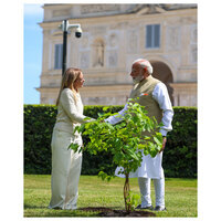 PM Modi, Italy PM plant Black Mulberry sapling under 'Ek Ped Maa Ke Naam' initiative