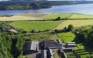 NSA Highland Sheep Preview: Midfearn Farm to host Scottish Highlands sheep event