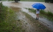 Floods in Queensland have caused huge livestock, farmland and infrastructure losses, with some areas receiving up to 600mm of rain in a week.