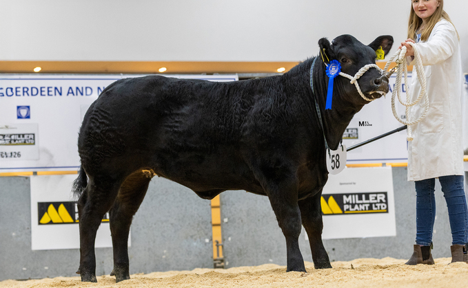 Top price at £7,000 from Abbie Brown