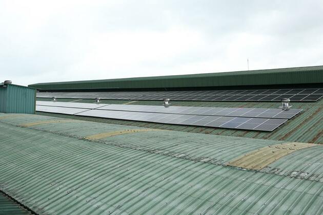 Myanmar rice mills go solar, boosting sustainability, global market appeal