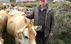 Cowmen Comment: Christopher Murley - Like most farmers we are very glad to have come through what has been a very long and wet winter"