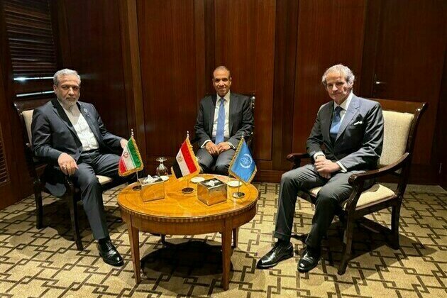 IAEA Chief Hails Timely Meeting with Iranian FM