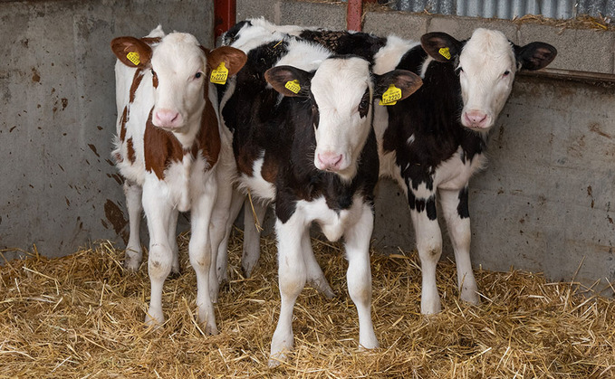 Pressure on margins prompts hard look at dairying