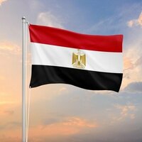 Egypt strongly condemns Israeli attack on Qatar