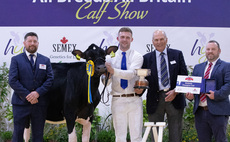 Border and Lakeland claim Holstein calf championship at All Breeds All Britain