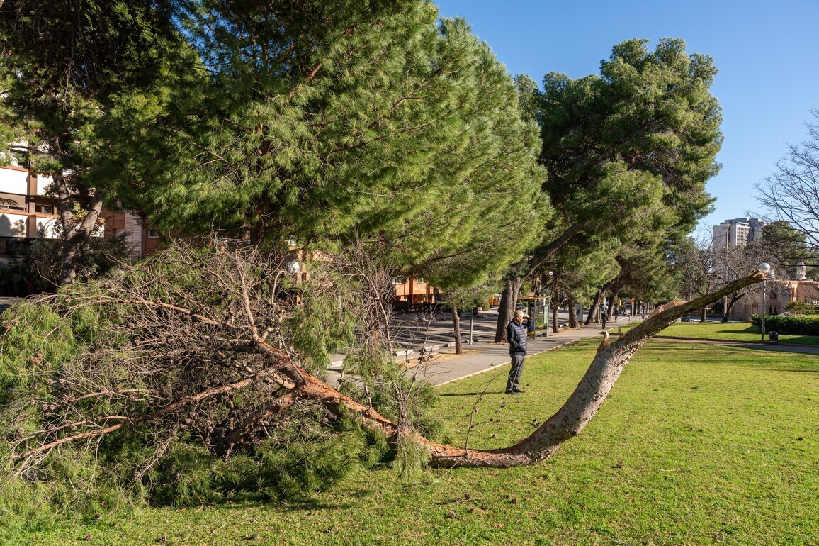 SPAIN-BARCELONA-STORM NILS-STRONG WINDS