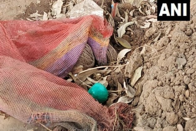 Four crude bombs recovered in West Bengal's Birbhum