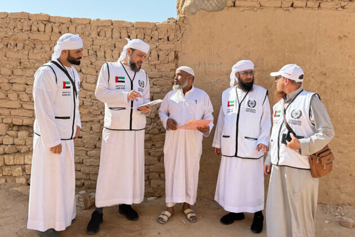 ICO implements AED11 million projects in Egypt in 9 months
