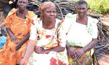Abamu ku batuuze be bamenyedde amayumba. Abamu ku batuuze be bamenyedde amayumba.