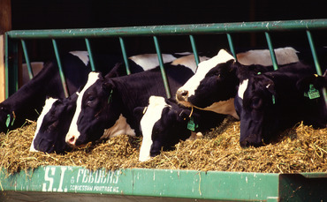 Arla Foods launches €500m sustainable farming incentive scheme - Vimarsana News