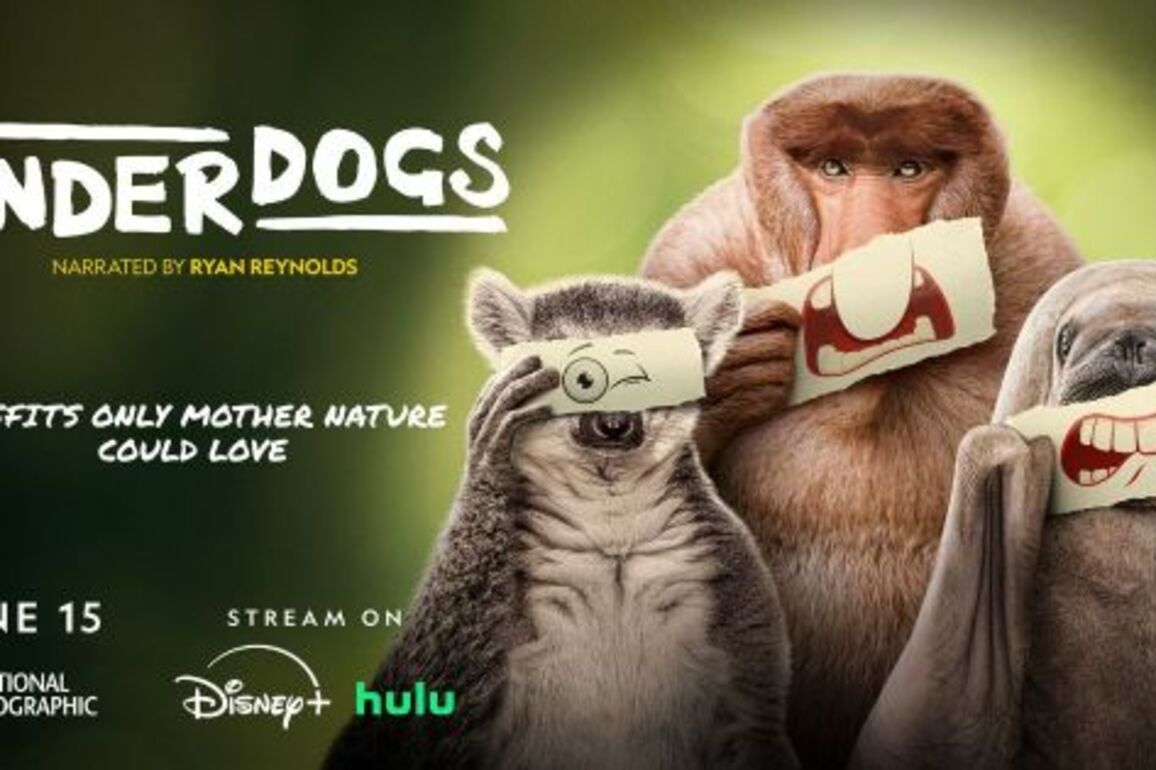 Ryan Reynolds Fights for the Underdogs in New National Geographic Series