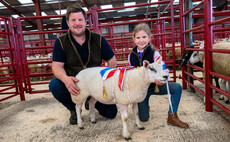 Sisters win top honours at Longtown young handlers 