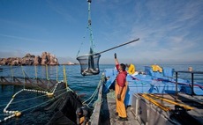 Indonesia's eFishery closes $200m Series D