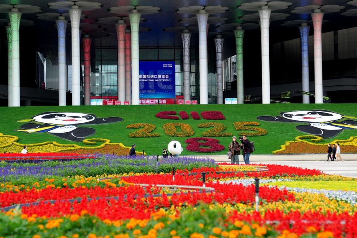 Interview: Georgia seeks to deepen economic cooperation with China at Import Expo, says official