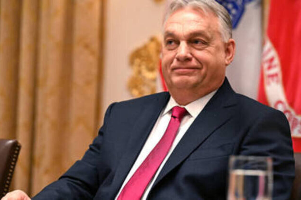 Orban mocks Kallas with Hitler comparison
