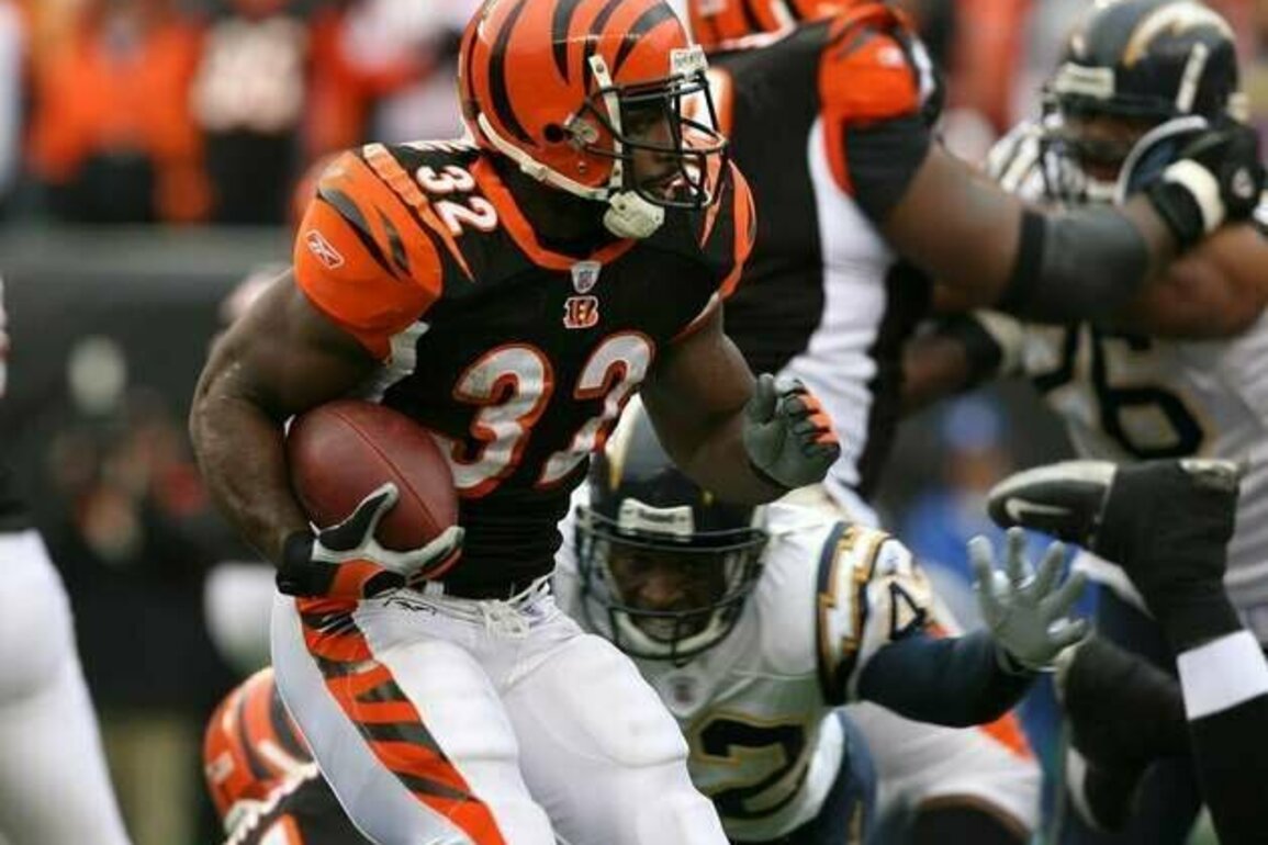 Report: Former Bengals RB Rudi Johnson dies at 45