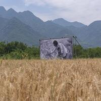 Farmers' paintings illustrate progress of rural China
