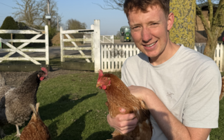 Local egg finder map helps crack down on food miles