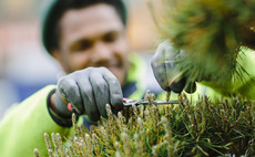 FSN exits Green Landscaping in SEK 197m deal