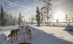  The locals' mode of transport in Lapland