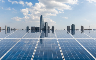 'We think this is the sweet spot': SBTi unveils long-awaited update to net zero target standard
