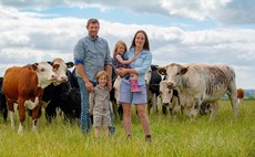 'It is something we really believe in' - Pasture-fed ethos behind couple's farming ambition