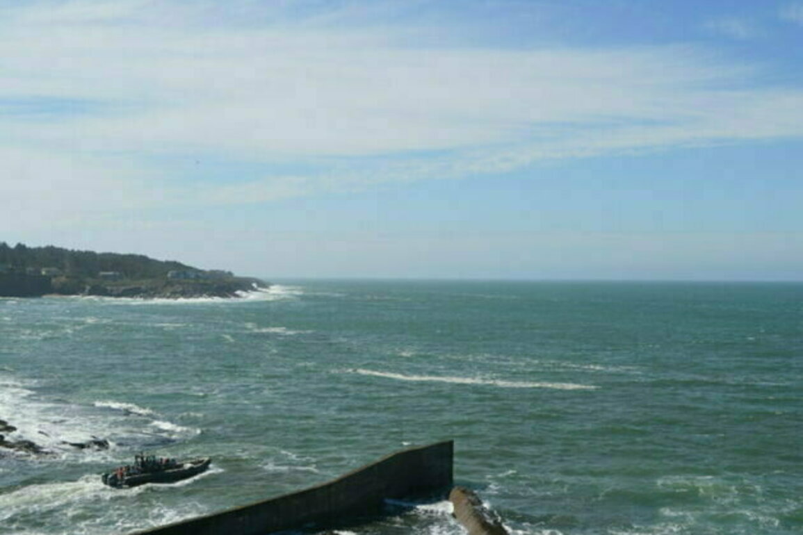 Oregon coast welcomes spring whale watchers