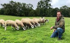 In your field: Thomas Carrick - 'Plenty of shepherds are keen to help arable farms'
