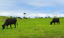 Victoria has passed controversial legislation that could see farmers fined for standing in the way of transmission line construction. 