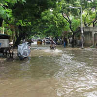 Northern India faces worst monsoon disaster in decades