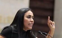 Mexican MP Mary Carmen Bernal Martínez proposed an amendment to include indigenous consultation in the country’s mining law.