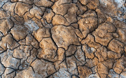 Multi-year outlook: Rupture and resilience