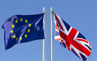 Campaigners step up calls for new UK-EU climate partnership