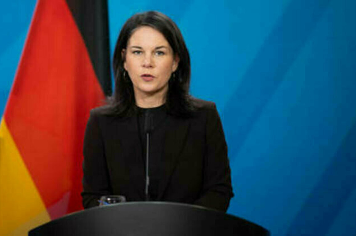 EU must be involved in Ukraine peace talks - German FM