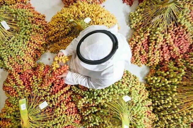 Liwa Date Festival celebrates UAE's cultural, farming legacy
