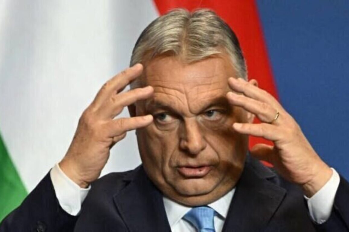 Orban Scowls,Academia Smiles