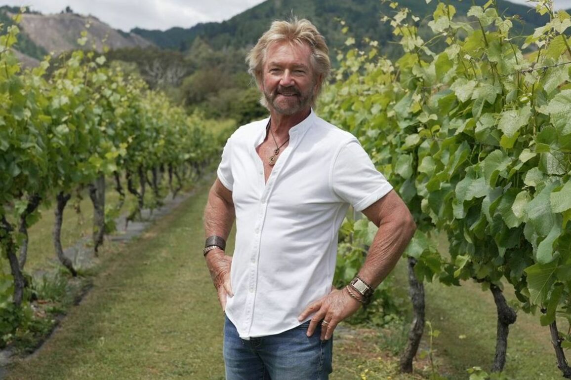 Noel Edmonds insists his TV show 'couldn't be more different' to Clarkson's Farm
