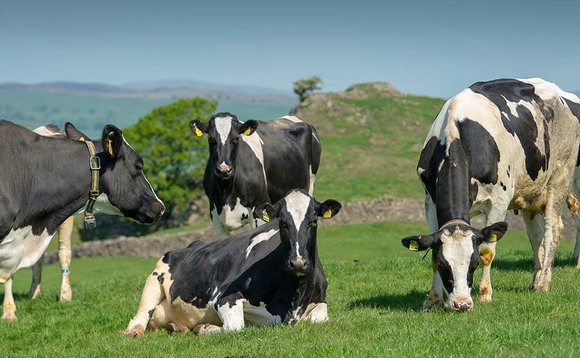 UK-wide consultation on unfair practices in dairy sector launched