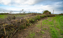 Farmers urged to prepare for capital grants reopening