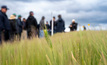 New GRDC National Grower Network (NGN) projects are underway in WA this season - looking at time of sowing options to respond to seasonal variability.