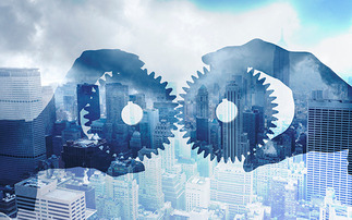 Advisory/DFM bespoke portfolio partnerships gaining popularity