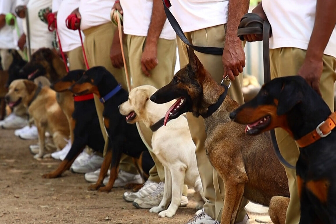 Gujarat Police K9 Unit becomes more lethal: 'Super Dogs' against terror, drugs