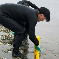 Study Reveals Potential of Seaweed Farms as Carbon Storage Solution