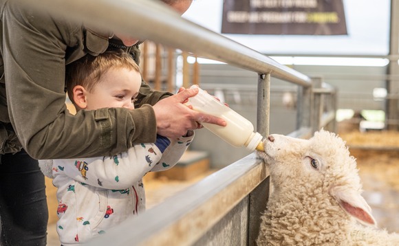 Lambing events: Safety needs to be the priority