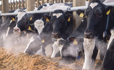 Dairy farmers 'disappearing' from North East Scotland
